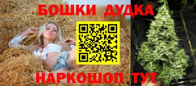 крисы Бузулук