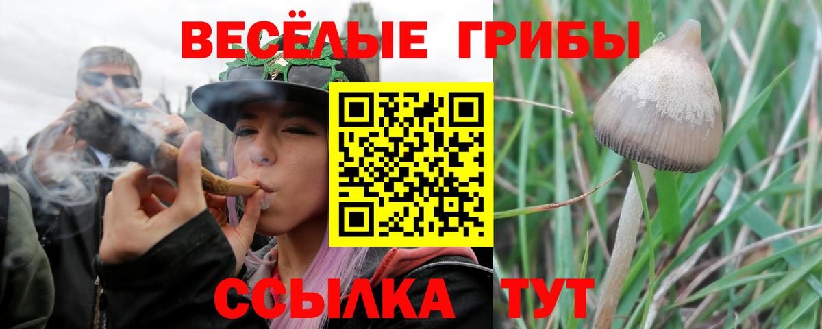 Усть-Джегута  как найти наркотики  Вход с VPN  Галлюциногенные грибы мухоморы  Псилоцибиновые грибы мухоморы 