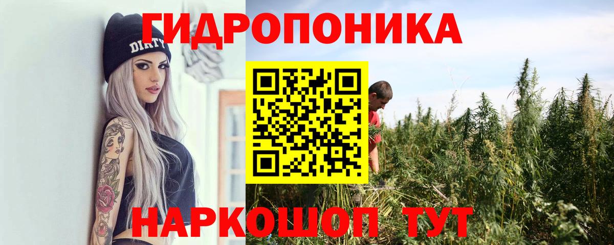 Бошки Шишки планчик  Бошки Шишки гибрид  Вход с VPN  Марихуана SATIVA & INDICA  Усть-Джегута 